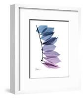 Camelia Leaf in Purp-Albert Koetsier-Framed Premium Giclee Print