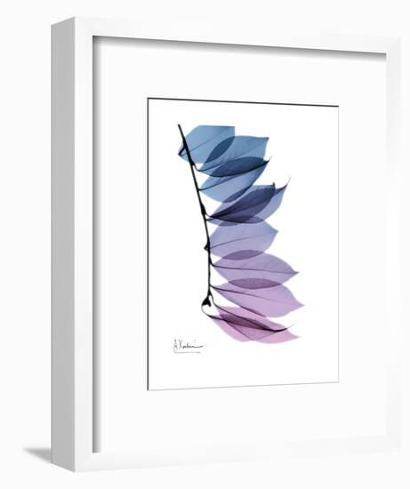 Camelia Leaf in Purp-Albert Koetsier-Framed Premium Giclee Print