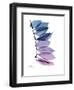 Camelia Leaf in Purp-Albert Koetsier-Framed Premium Giclee Print