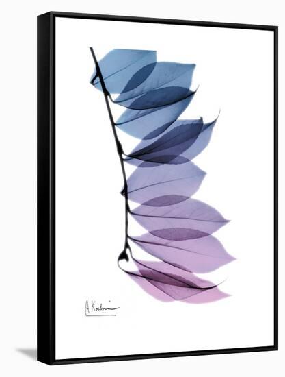 Camelia Leaf in Purp-Albert Koetsier-Framed Stretched Canvas