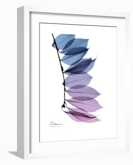 Camelia Leaf in Purp-Albert Koetsier-Framed Premium Giclee Print