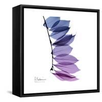 Camelia Leaf in Purp-Albert Koetsier-Framed Stretched Canvas