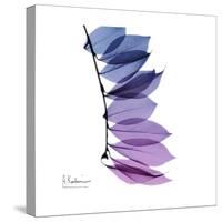 Camelia Leaf in Purp-Albert Koetsier-Stretched Canvas