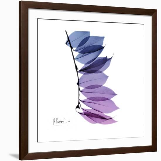 Camelia Leaf in Purp-Albert Koetsier-Framed Art Print