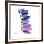 Camelia Leaf in Purp-Albert Koetsier-Framed Art Print