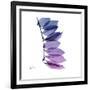 Camelia Leaf in Purp-Albert Koetsier-Framed Art Print