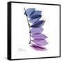 Camelia Leaf in Purp-Albert Koetsier-Framed Stretched Canvas