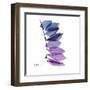 Camelia Leaf in Purp-Albert Koetsier-Framed Art Print