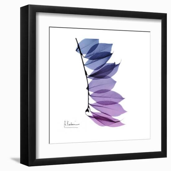 Camelia Leaf in Purp-Albert Koetsier-Framed Art Print