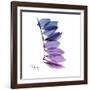 Camelia Leaf in Purp-Albert Koetsier-Framed Art Print