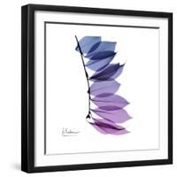 Camelia Leaf in Purp-Albert Koetsier-Framed Art Print