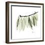 Camelia Leaf In White-Albert Koetsier-Framed Art Print