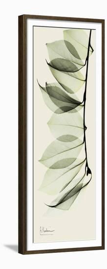 Camelia Leaf Moment-Albert Koetsier-Framed Art Print