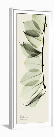 Camelia Leaf Moment-Albert Koetsier-Framed Art Print