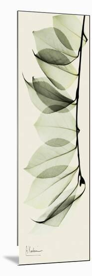 Camelia Leaf Moment-Albert Koetsier-Mounted Art Print