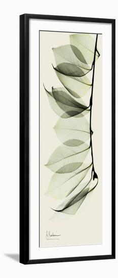 Camelia Leaf Moment-Albert Koetsier-Framed Art Print