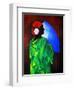 Camelia Rose, 2008-Patricia Brintle-Framed Premium Giclee Print