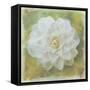 Camelia White-Cora Niele-Framed Stretched Canvas