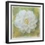 Camelia White-Cora Niele-Framed Giclee Print