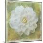 Camelia White-Cora Niele-Mounted Giclee Print