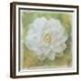 Camelia White-Cora Niele-Framed Giclee Print