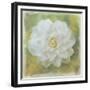 Camelia White-Cora Niele-Framed Giclee Print