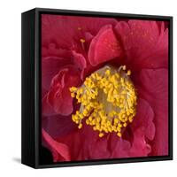 Camelia-Magda Indigo-Framed Stretched Canvas