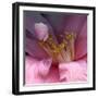 camelia-Magda Indigo-Framed Photographic Print