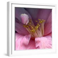 camelia-Magda Indigo-Framed Photographic Print