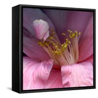 camelia-Magda Indigo-Framed Stretched Canvas