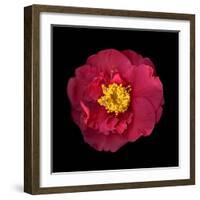 Camelia-Magda Indigo-Framed Photographic Print