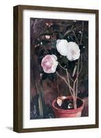 Camelias, 19th Century-Antonio Costa-Framed Giclee Print