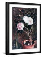 Camelias, 19th Century-Antonio Costa-Framed Giclee Print