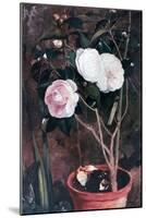 Camelias, 19th Century-Antonio Costa-Mounted Giclee Print