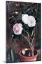 Camelias, 19th Century-Antonio Costa-Mounted Premium Giclee Print