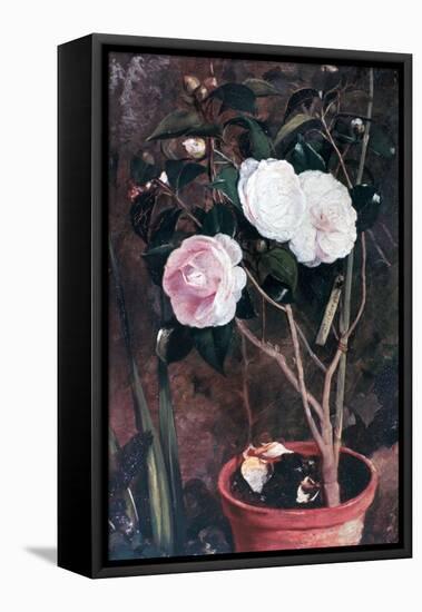 Camelias, 19th Century-Antonio Costa-Framed Stretched Canvas