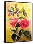 Camelias-Mary Smith-Framed Stretched Canvas