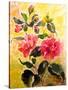 Camelias-Mary Smith-Stretched Canvas