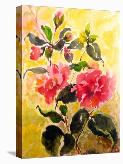 Camelias-Mary Smith-Stretched Canvas