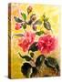 Camelias-Mary Smith-Stretched Canvas