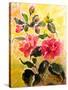 Camelias-Mary Smith-Stretched Canvas