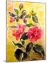 Camelias-Mary Smith-Mounted Giclee Print