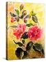 Camelias-Mary Smith-Stretched Canvas