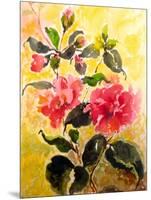 Camelias-Mary Smith-Mounted Premium Giclee Print