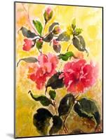 Camelias-Mary Smith-Mounted Giclee Print