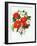 Camellia Adolf Audusson-Ursula Hodgson-Framed Giclee Print