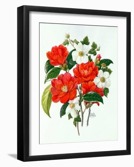 Camellia Adolf Audusson-Ursula Hodgson-Framed Giclee Print