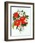 Camellia Adolf Audusson-Ursula Hodgson-Framed Giclee Print