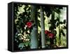 Camellia and Bamboo-null-Framed Stretched Canvas