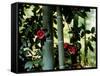 Camellia and Bamboo-null-Framed Stretched Canvas